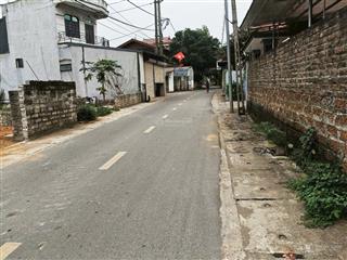 Cần tiền bán gấp lô đất 162m² trục chính trại láng  cổ đông, kinh doanh cực tốt!