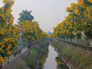 Nhà đẹp bán hxh 72m2 ngang 6m 1 trệt 1 lầu đường thạnh lộc 37, an phú đông q12 p. thạnh lộc củ