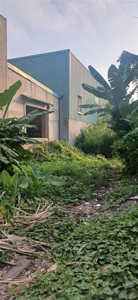 Đất thông số đẹp 160m2 đường tl19 p.an phú đông(p.thạnh lộc q12 củ)