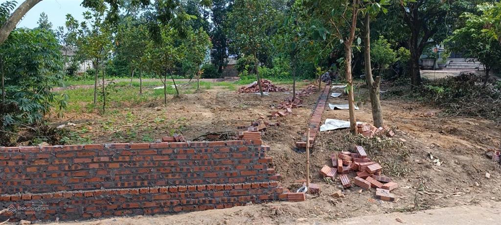 Bán đất hoa sơn, nam sơn, sóc sơn  737.5m2
