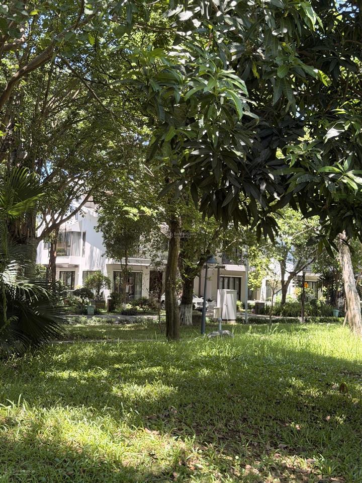 Bán biệt thự song lập mimosa ecopark biểu tượng của đẳng cấp & thịnh vượng