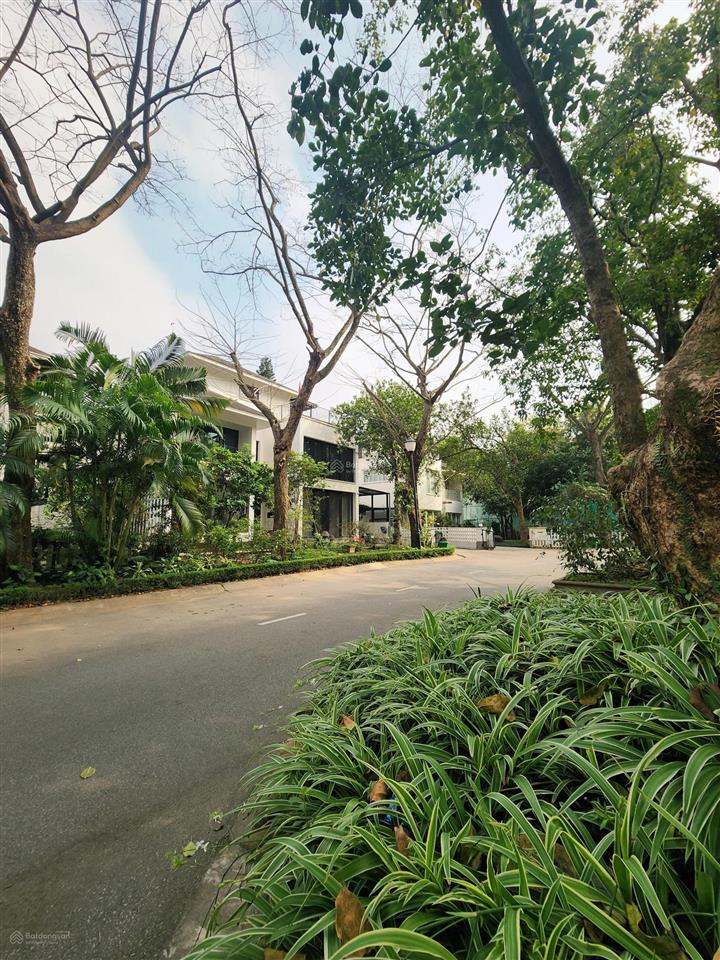Bán căn biệt thự đơn lập lõi vườn tùng, khu đô thị ecopark hưng yên