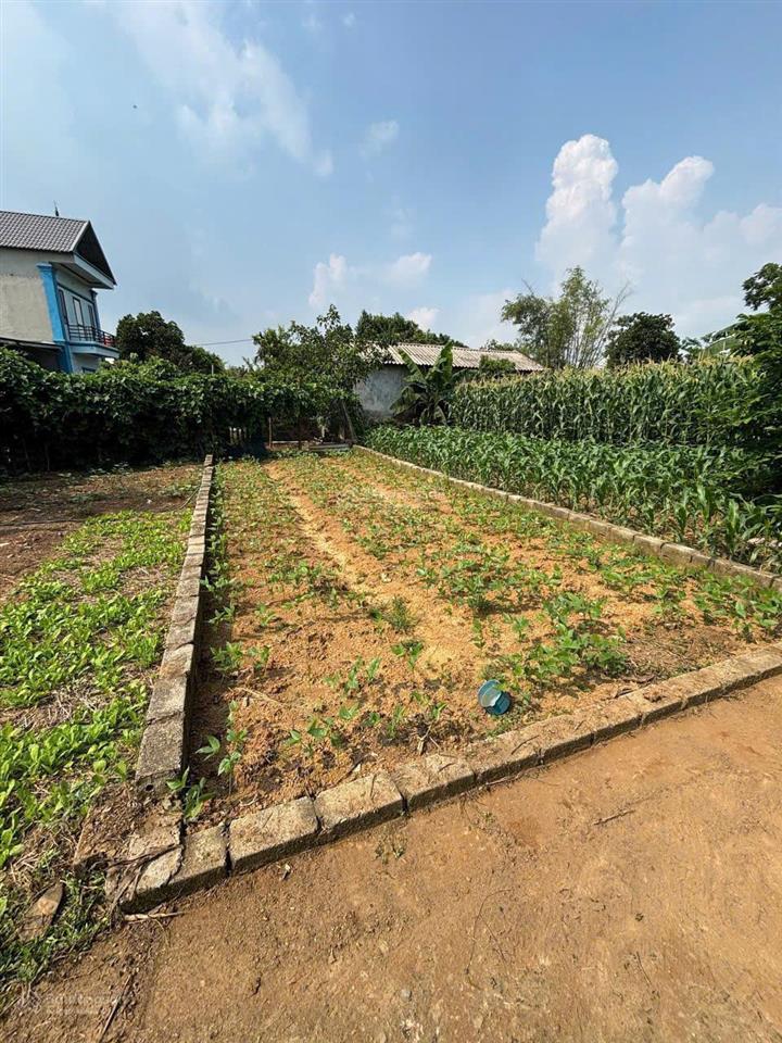 Nhỉnh 1 tỷ sở hữu ngay lô 63,1m đẹp vị trí tiềm năng tại thạch thất  hòa lạc