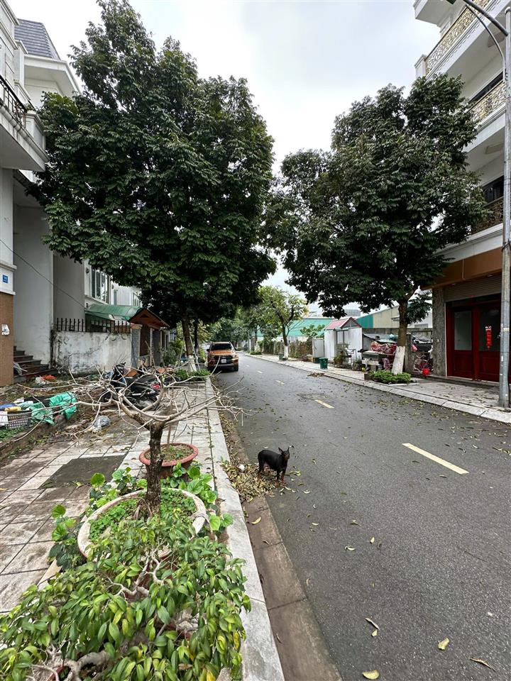 Chính chủ gửi bán siêu phẩm đất dịch vụ 5,5ha trạm trôi dt 91,4m2 sử dụng tiện ích của kdt lideco