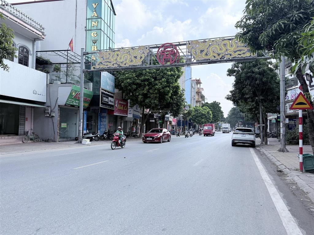 Bán nhanh căn biệt thự 3 tầng liền kề kđt 319 calyx residence đông anh chỉ 9,946 tỷ