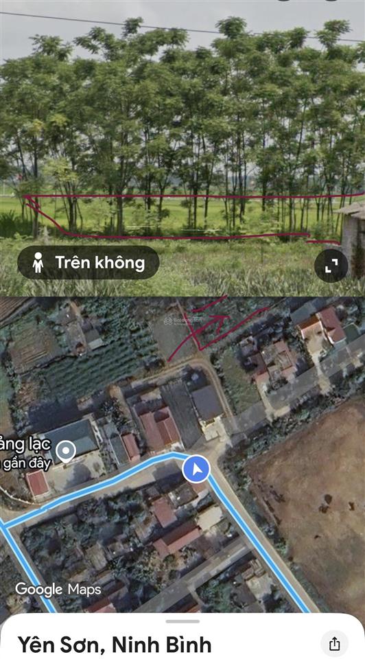 Cho thuê đất trống (thổ cư) 2 mặt đường 7m liên thôn (quảng cư, quảng lạc). dt 1000m2 (50mx20m)