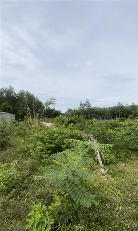 Chính chủ bán đất 576m2 full thổ cư, tl 8b, thôn suối cá, xã khánh trung, khánh vĩnh. t. khánh hoà
