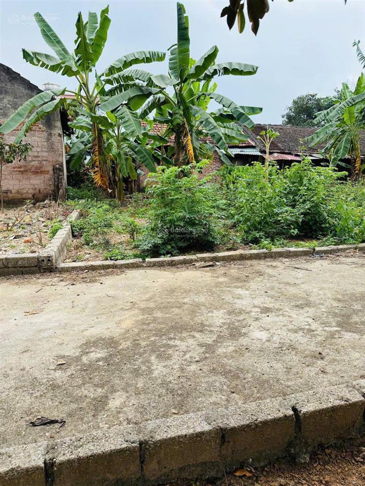 Bán 47m2  đất xã phúc thọ  gần đấu giá, ra ql32 chỉ 3km  giá chỉ 1.32 tỷ.  0961 000 ***