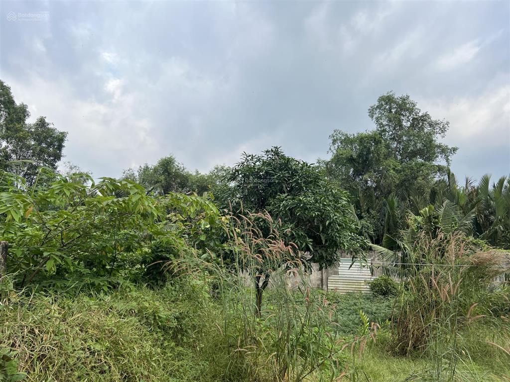 Nhà riêng cho thuê cạnh eco retreat long an,55 m2 1200 m2 đât5,5 triệu/1 th. miễn tiếp quảng cáo