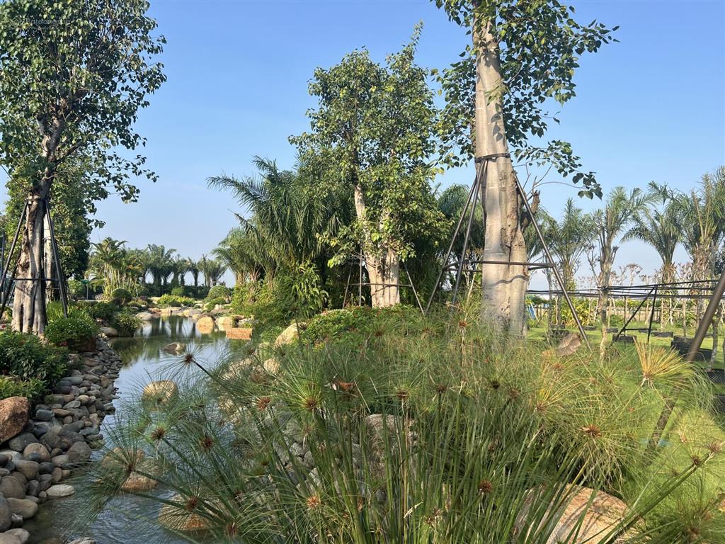 Nhà riêng cho thuê cạnh eco retreat long an,55 m2 1200 m2 đât5,5 triệu/1 th. miễn tiếp quảng cáo