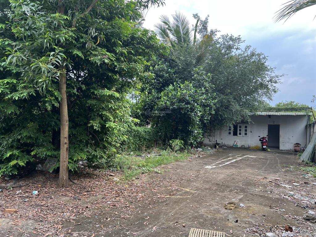 Nhà riêng cho thuê cạnh eco retreat long an,55 m2 1200 m2 đât5,5 triệu/1 th. miễn tiếp quảng cáo