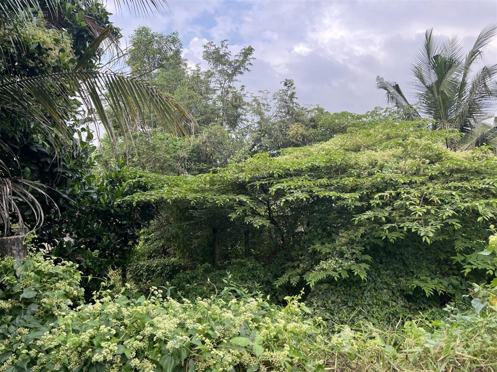 Nhà riêng cho thuê cạnh eco retreat long an,55 m2 1200 m2 đât5,5 triệu/1 th. miễn tiếp quảng cáo