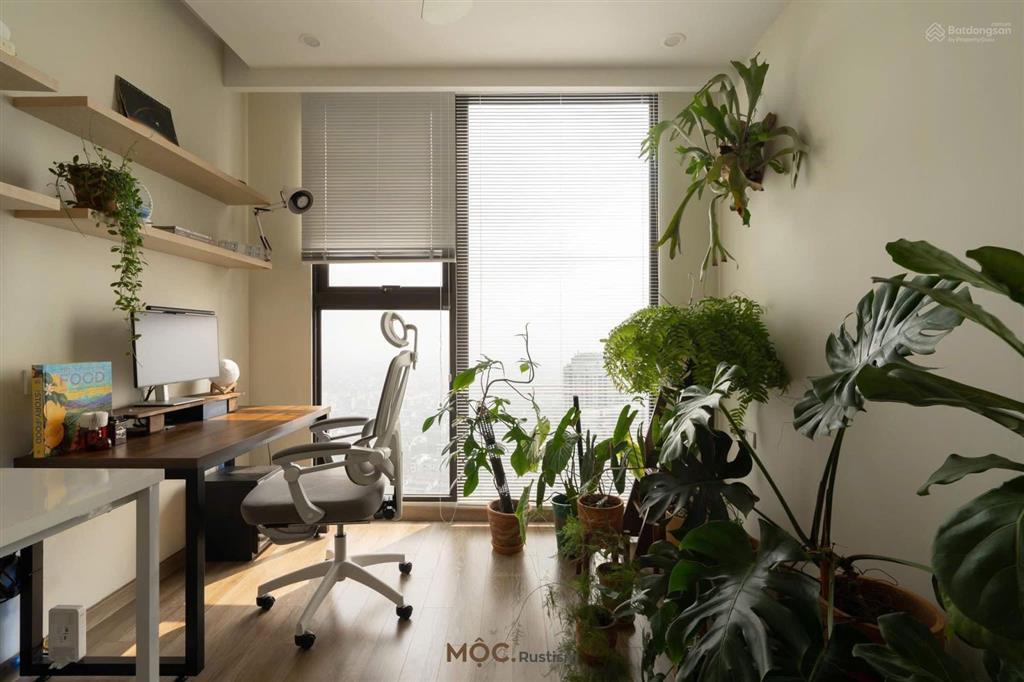 Bán gấp căn studio view sông, biển tại fours chỉ từ 1,6 tỷ