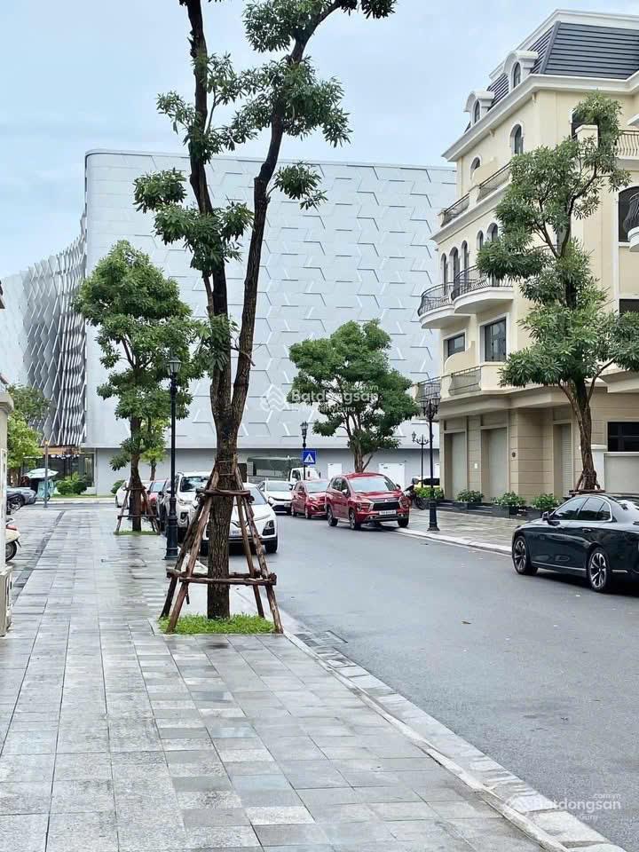 Giảm thêm 1,5 tỷ  biệt thự kinh đô 150m2  hỗ trợ vay  cạnh vincom vinhomes ocean park 2