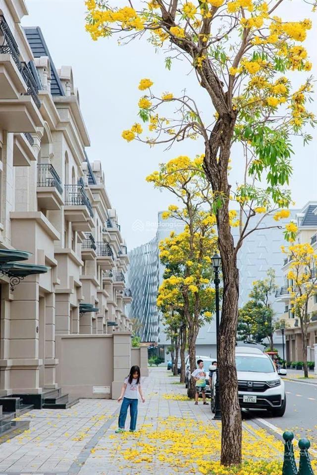 Giảm thêm 1,5 tỷ  biệt thự kinh đô 150m2  hỗ trợ vay  cạnh vincom vinhomes ocean park 2