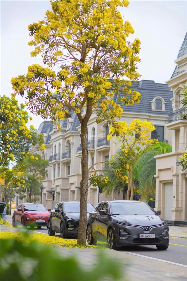 Giảm thêm 1,5 tỷ  biệt thự kinh đô 150m2  hỗ trợ vay  cạnh vincom vinhomes ocean park 2