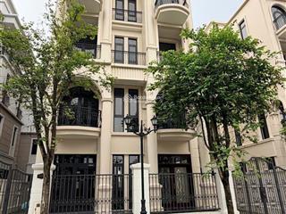 Biệt thự song lập 126m² phân khu khép kín vịnh xanh giá chỉ còn 10,8 tỷ tại vinhomes ocean park 3