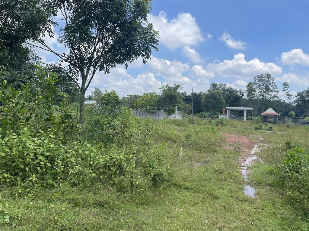 Bán lô đất nghĩa trang diện tích 36m2