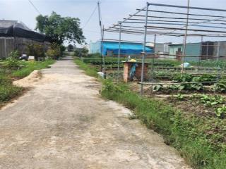 Bán lô đất đường thới tam thôn 14 hóc môn