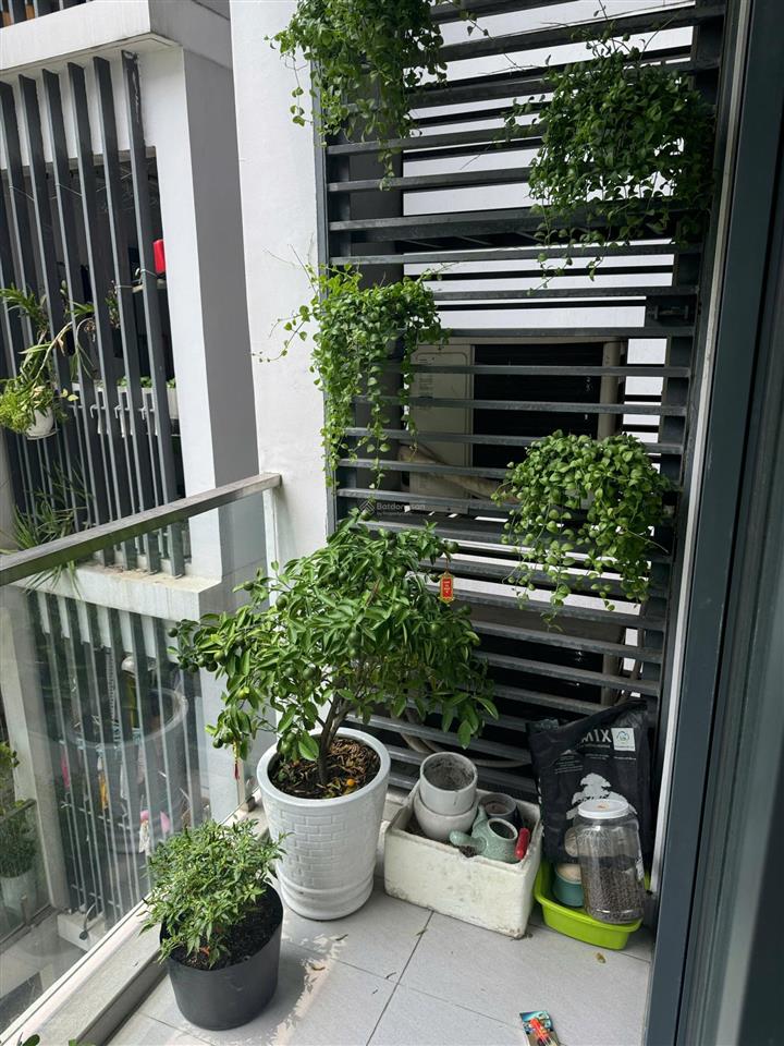 Cho thuê căn hộ 1pn emerald giá 10tr | ngoài ra em còn giỏ hàng 1pn 2pn 3pn giá tốt celadon city