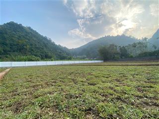 Chỉ hơn 1 tỷ sở hữu ngay 400m2 thổ cư sát kcn nhuận trạch lương sơn