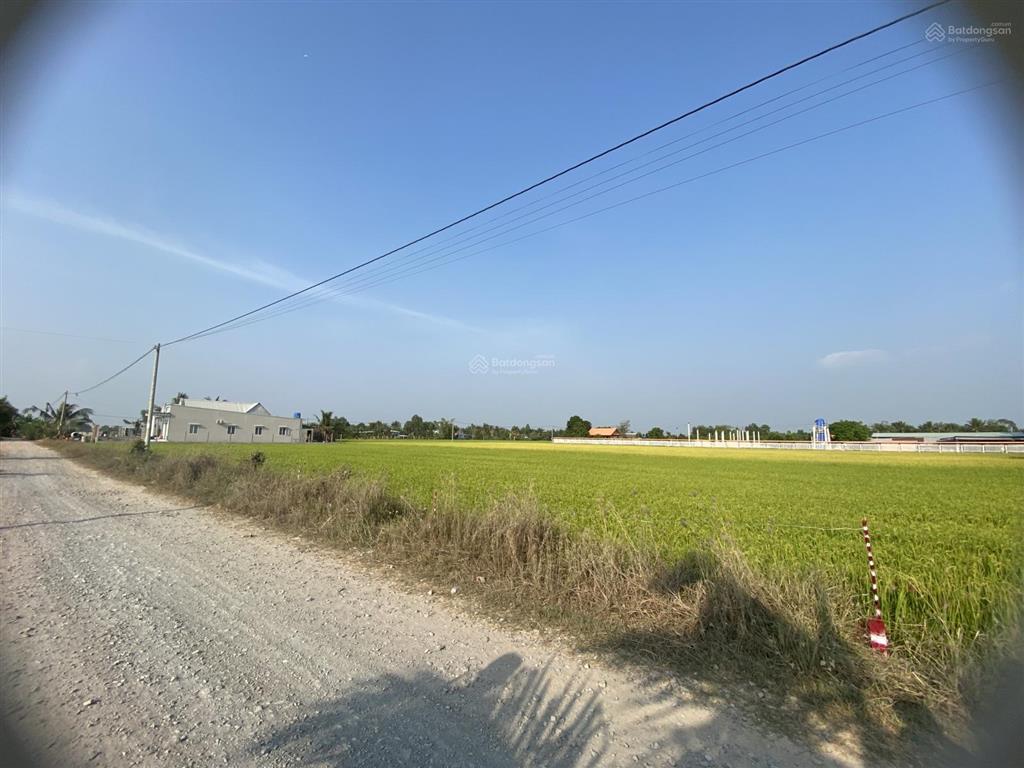 Chính chủ cần bán gấp đất thổ cư tại xã mỹ thạnh đông, đức huệ, (long an cũ)