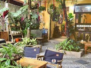 Bán đất xây building, khách sạn, apartment tặng bt 4 tầng phố đào tấn  linh lang  260m2  104 tỷ