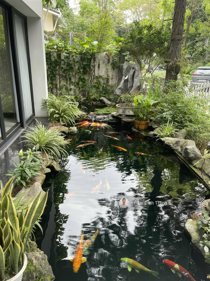 Bán biệt thự đơn lập vườn mai ecopark hưng yên 427m2  full nội thất  63,9 tỷ
