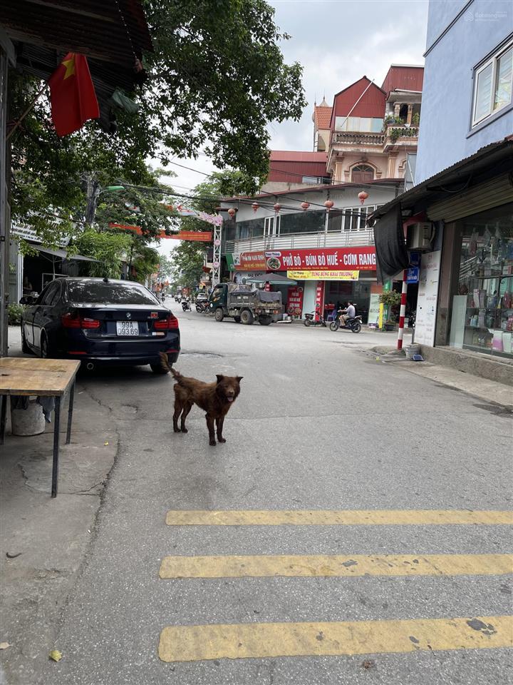 Bán đất tại kim thiều, nguyễn văn cừ, 95m2, 6 tỷ vnd