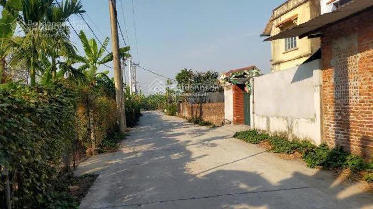 Cần bán cần bán đất phú thụy, 39 tỷ, 300m2  gia lâm, hà nội