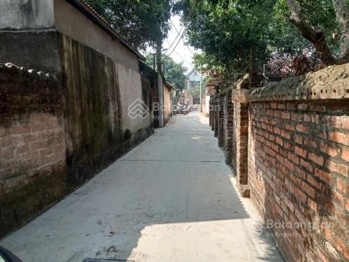 Cần bán gấp đất rộng 597m2  mt 6m hát môn  phúc thọ