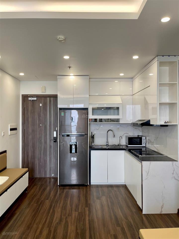 Cho thuê căn 1.5 pn full nội thất đẹp hoàng huy grand tower giá chỉ 8 triệu/tháng.