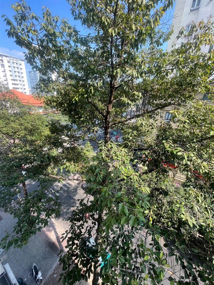 Bán c/c lý thường kiệt, q.11 49m2 giá 3,3 tỷ