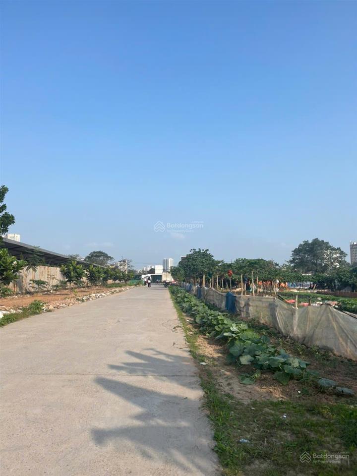 Cắt lỗ bán gấp căn liền kề mặt phố kinh doanh rất ok, bán đảo linh đàm 150m2 mặt tiền 6m