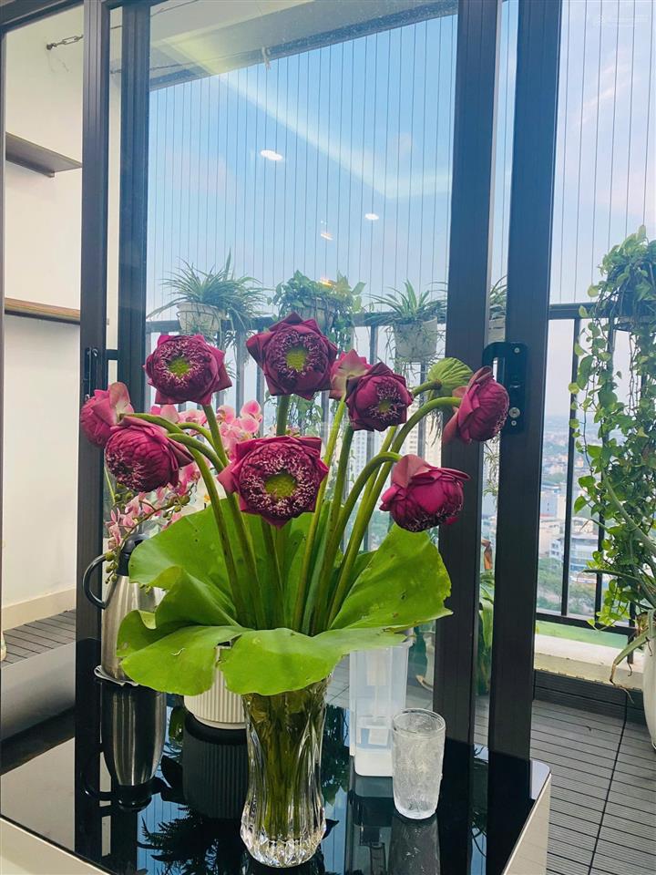 Em chính chủ ko phải sale, bán căn 2pn72mcăn góc 3 mặt thoánghướng đn, nội thất xịn đẹp 5,9 tỷ