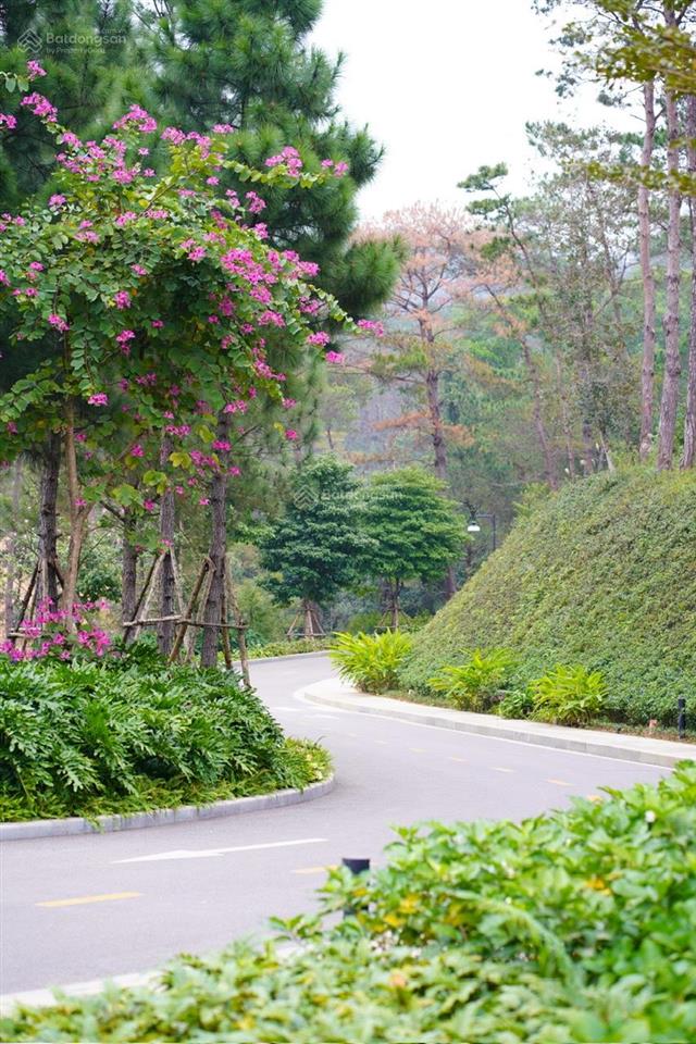 [ngoại giao] bt đơn lập view hồ hàng cđt chỉ 28 tỉ  sở hữu bể bơi riêng, rẻ hơn chuyển nhượng