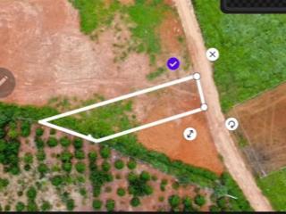 BÁN ĐẤT TẠI  TÂN HÀ ,LÂM HÀ , LÂM ĐỒNG - GIÁ SIÊU HỜI CHỈ 415TR