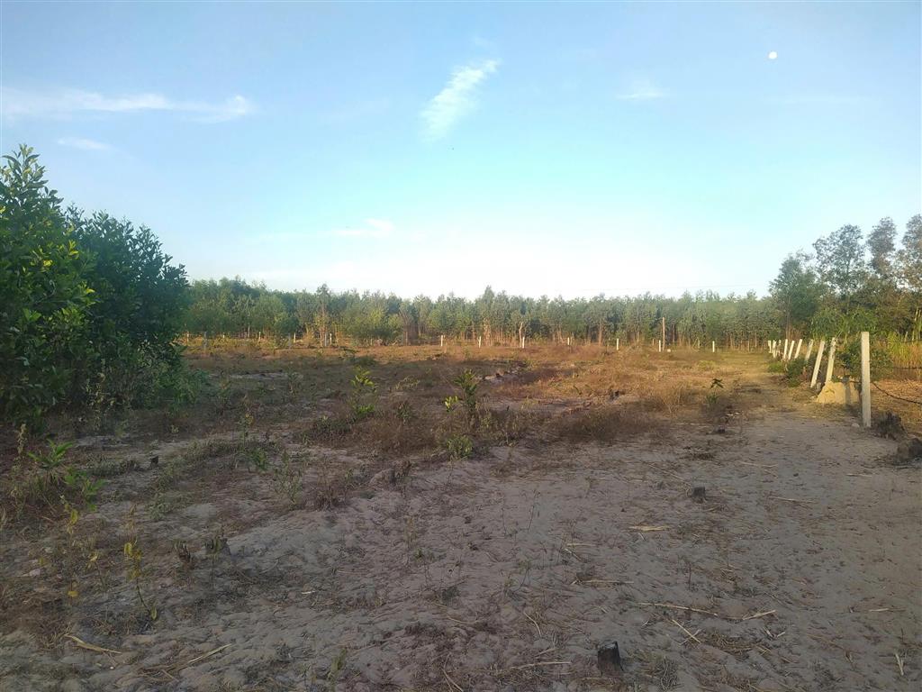 CHÍNH CHỦ BÁN ĐẤT HÀM TÂN - GIÁP LA GI – BÌNH THUẬN , 4.800m² - GIÁ CHỈ 980 TRIỆU