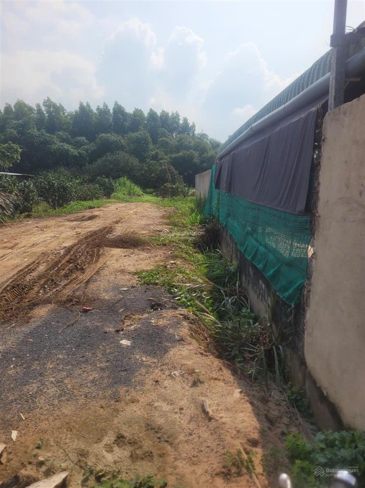 Bán lô đất mặt tiền hương lộ 15