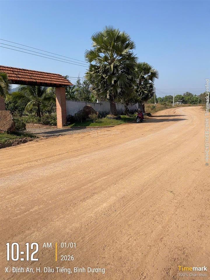 Đất định an ,dầu tiếng hcm diện tích 300m2 giá 300 triệu