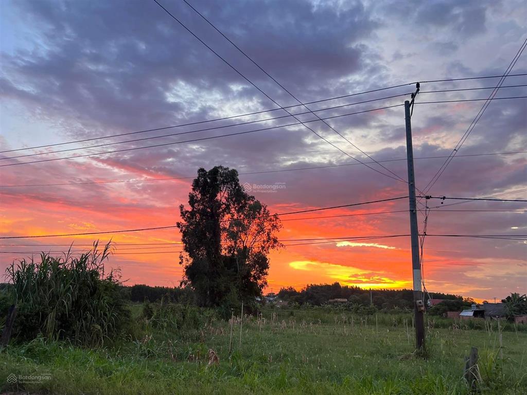 Chính chủ gửi lô láng dài đất đỏ