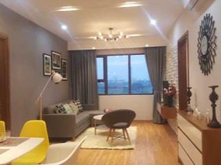 Bán căn hộ 2pn, 2wc tại đồng phát park view tower, 4,65 tỷ, 61,9m2