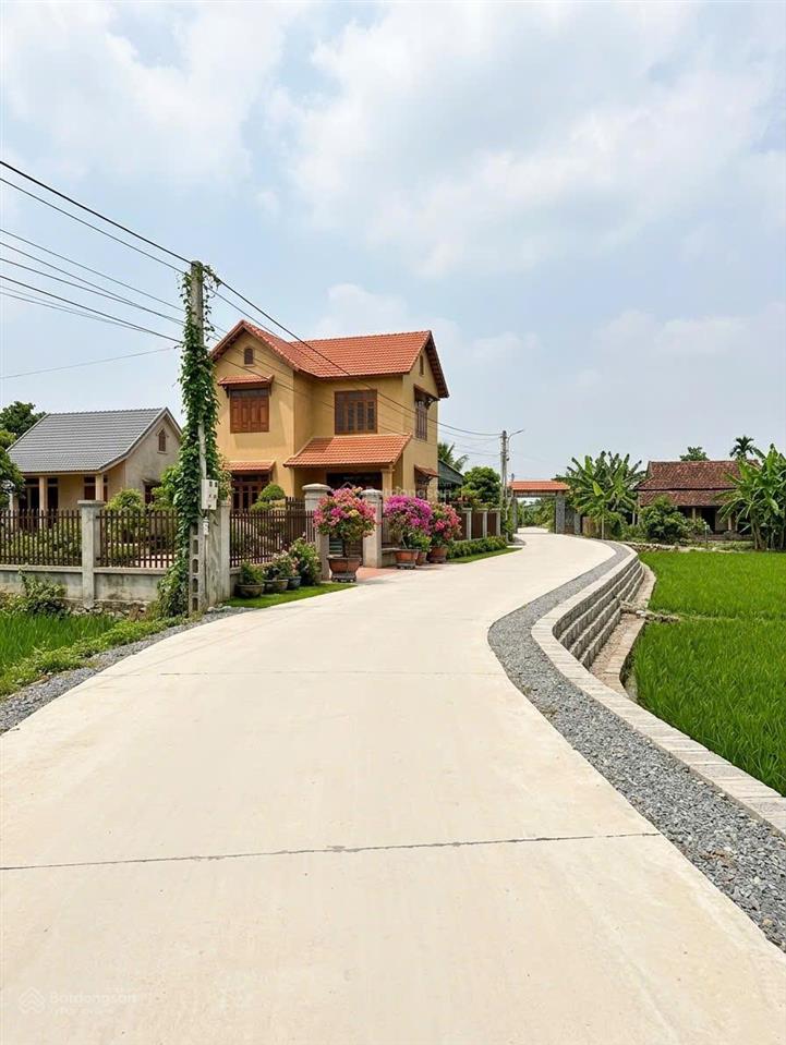 Chủ kẹt tiền  bán gấp 500m2 đất thái mỹ đường nhựa nguyễn thị hẹ, cách tỉnh lộ 7 chỉ 500m  1 tỷ 7