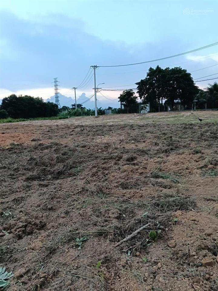 Bán 1.000m2 đất vườn cây trôm nhỉnh 2 tỷ (chỉ hơn 2tr/m). vị trí mặt tiền nhựa