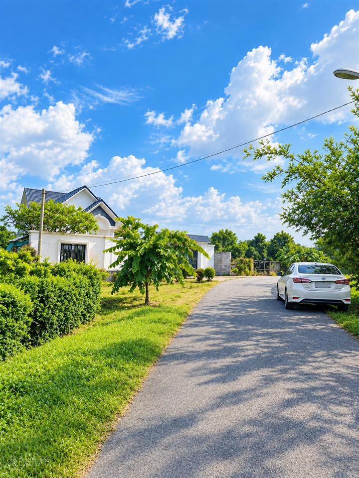 Bán đất vườn thổ cư củ chi 1000m2  mặt tiền nhựa 6m  sổ hồng riêng  giá chỉ từ 2 tr/m2 mặt tiền