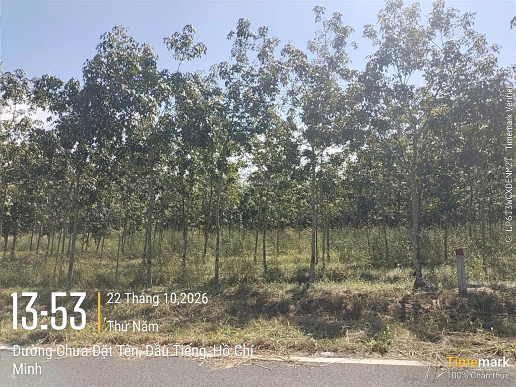 Bán đất đẹp tại ấp yên ngựa, đt 744, định thành, dầu tiếng, 2,55 tỷ, dt 251m2