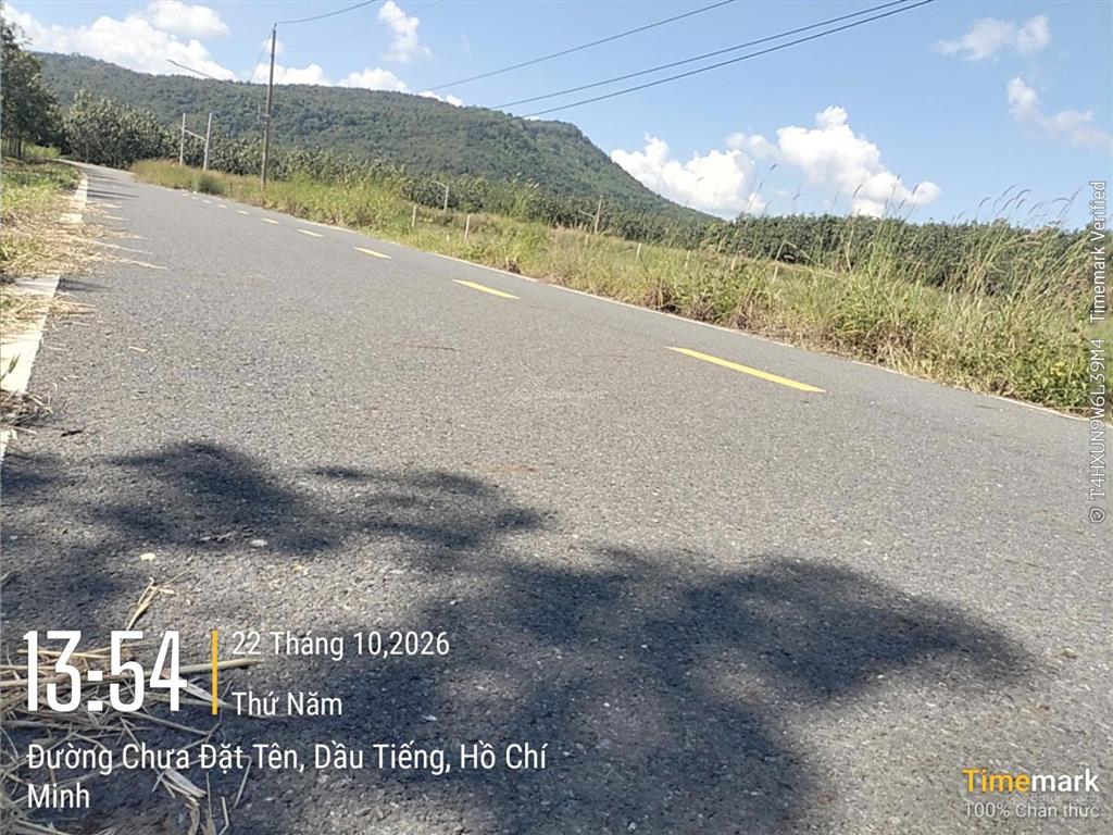Bán đất đẹp tại ấp yên ngựa, đt 744, định thành, dầu tiếng, 2,55 tỷ, dt 251m2