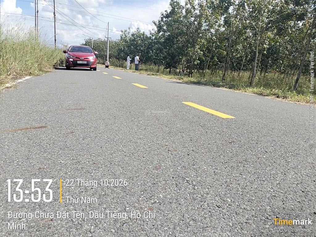 Bán đất đẹp tại ấp yên ngựa, đt 744, định thành, dầu tiếng, 2,55 tỷ, dt 251m2