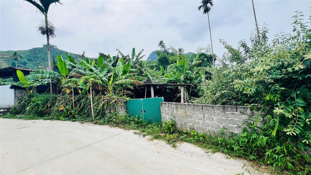Chính chủ cần bán lô đất với diện tích 423m2, full thổ cư