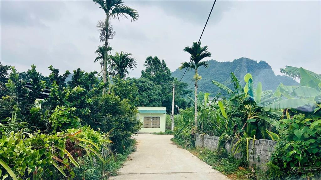 Chính chủ cần bán lô đất với diện tích 423m2, full thổ cư